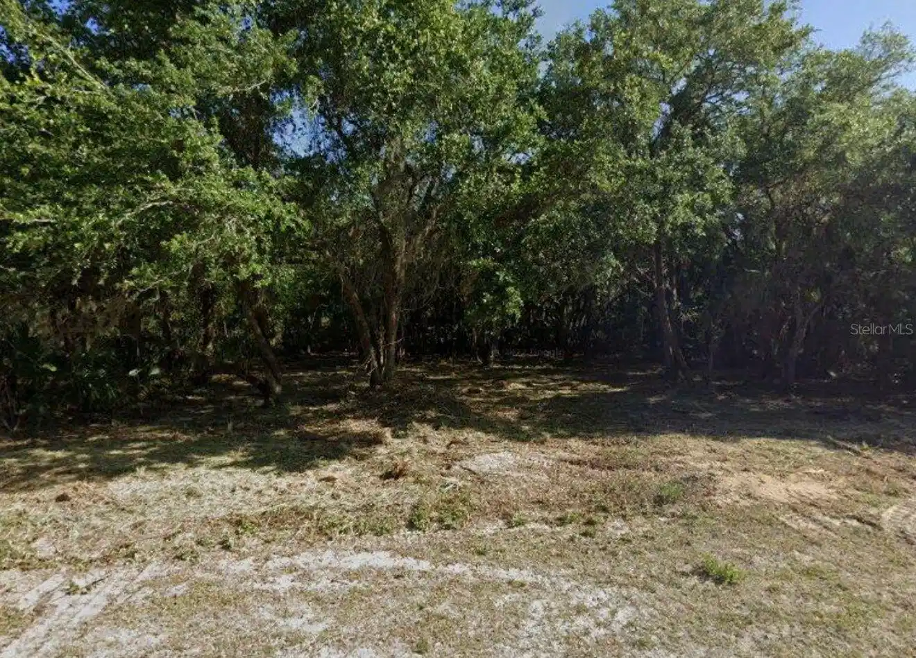 Image 1 Image 1