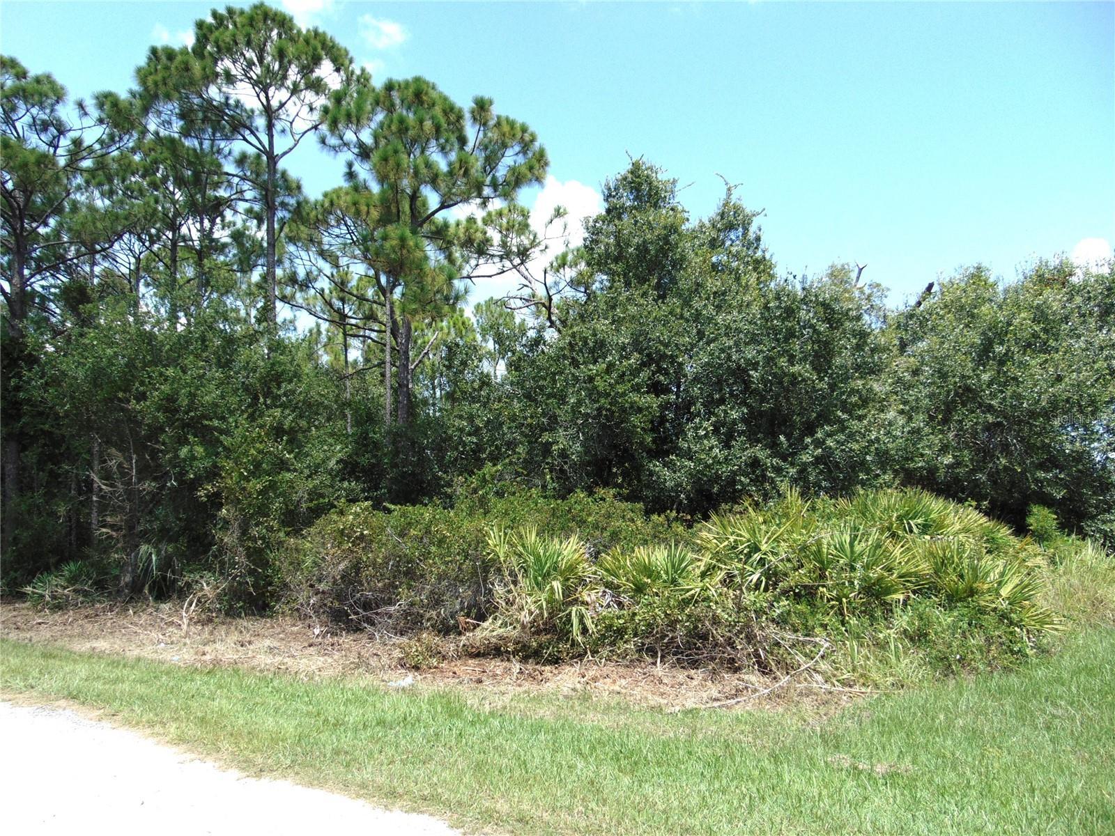 Image 3 Image 3
