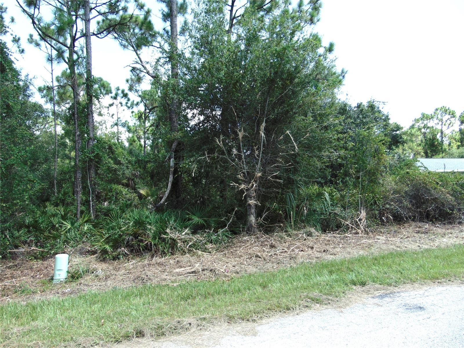 Image 4 Image 4