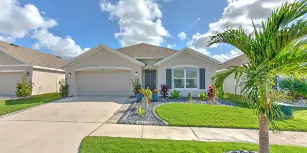 555 CALICO SCALLOP STREET