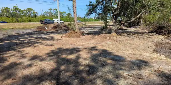 Image 4 Image 4