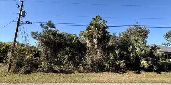 WILD GOOSE DRIVE