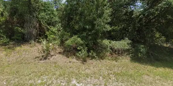 Image 3 Image 3