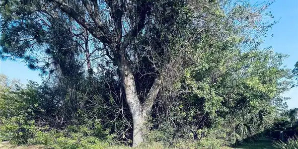 Image 2 Image 2