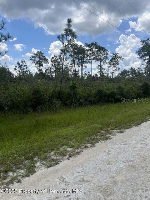 Image 3 Image 3