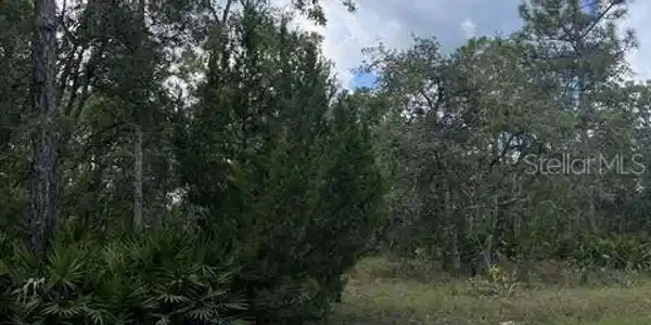Image 4 Image 4