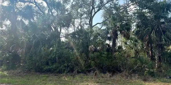 Image 4 Image 4