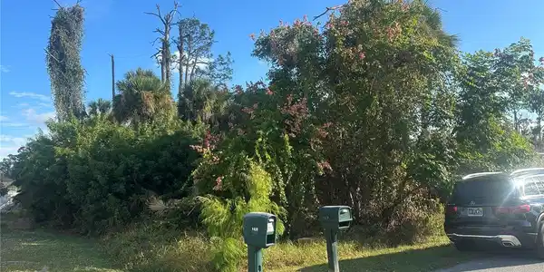 Image 3 Image 3