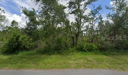 Image 1 Image 1