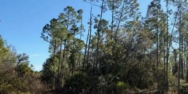 LANGLAIS DRIVE