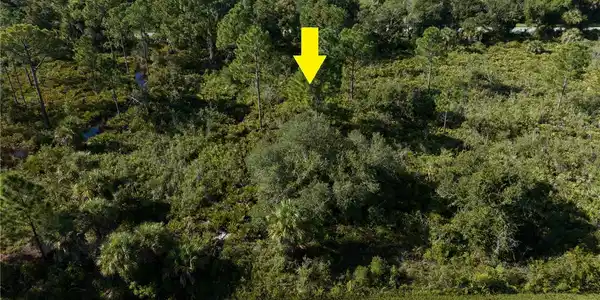 Image 3 Image 3