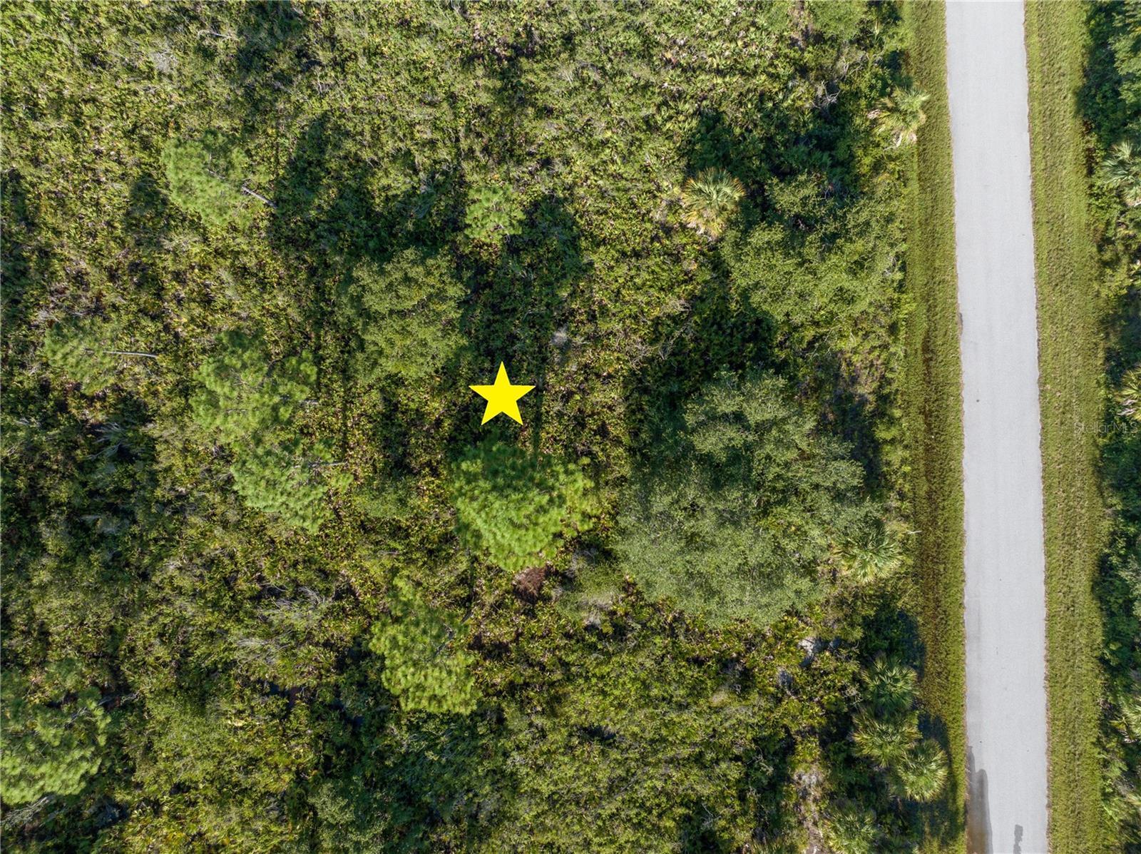 Image 4 Image 4