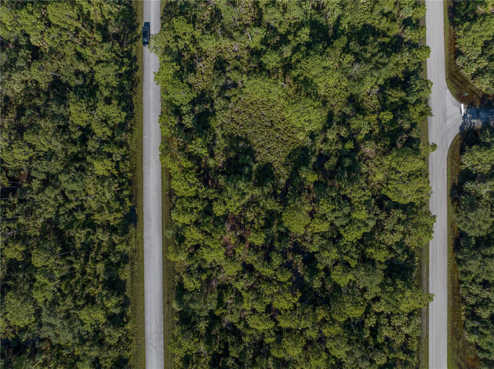 Image 4 Image 4