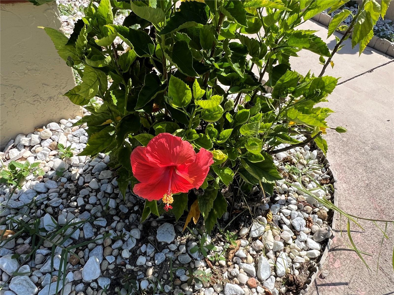 Image 3 Image 3