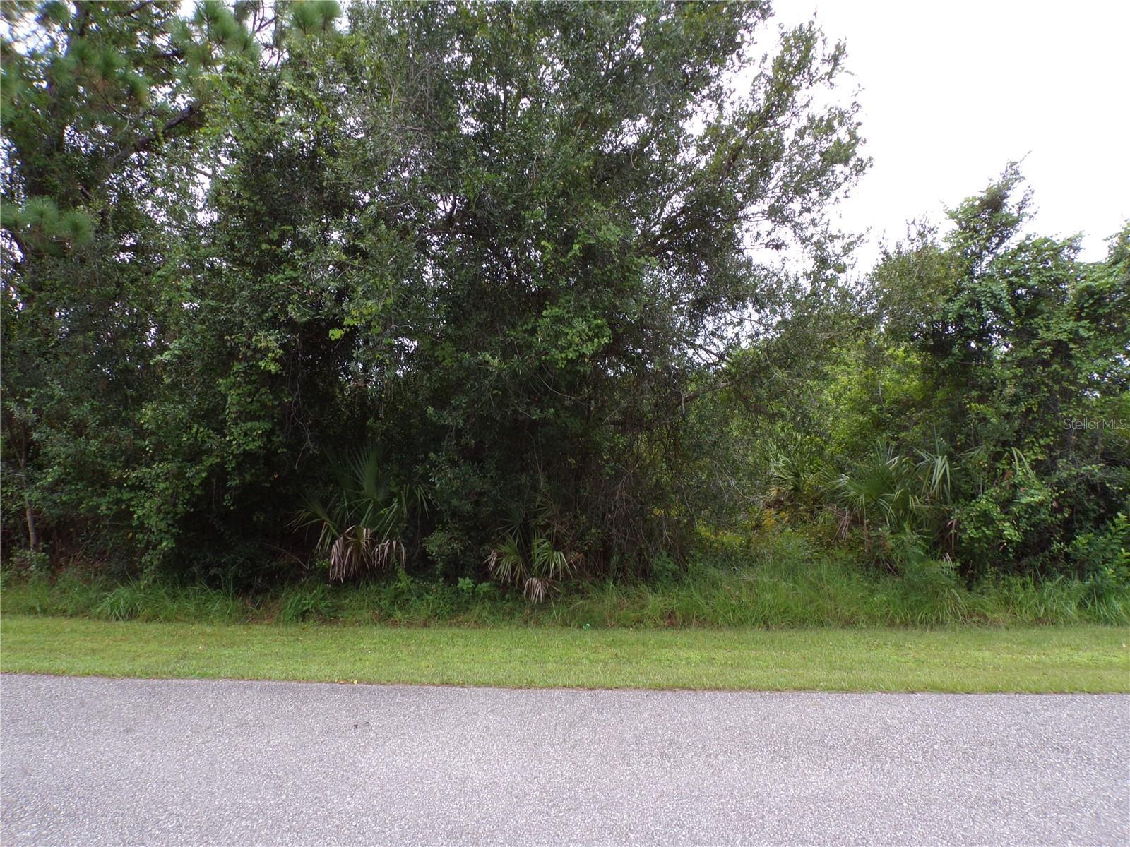 Image 1 Image 1