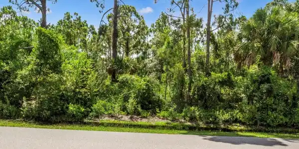3372 DOUGLAS ROAD