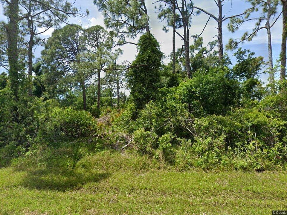 Image 1 Image 1