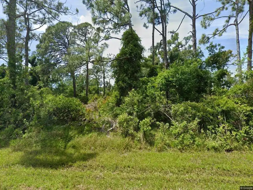 Image 1 Image 1