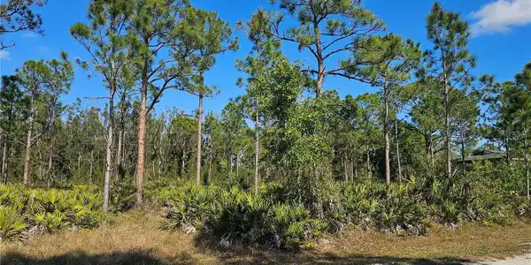 27342 BALBOA DRIVE