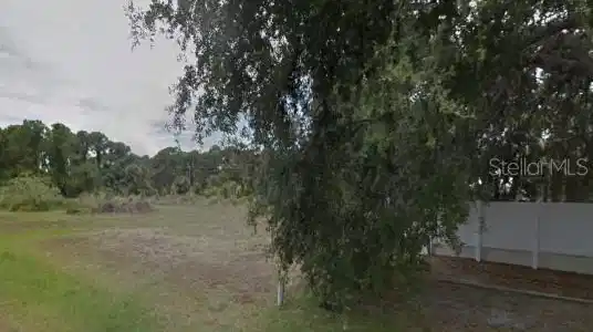 Image 2 Image 2