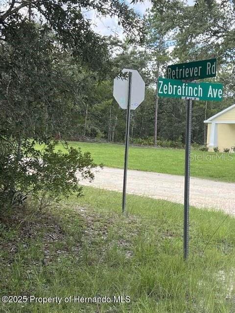 Image 2 Image 2