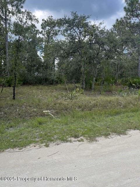 Image 3 Image 3