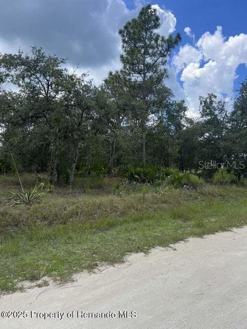 Image 4 Image 4