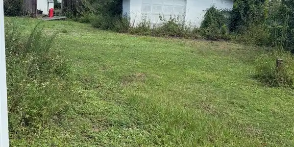 Image 3 Image 3