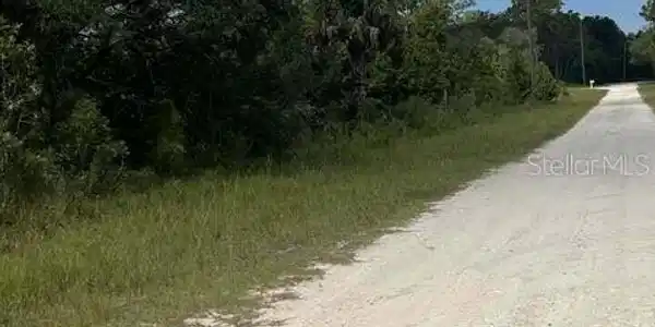 00 00 YELLOW FROG AVENUE
