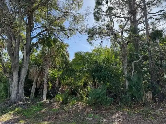 Image 1 Image 1