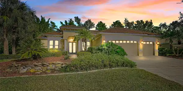 11420 SAVANNAH LAKES DRIVE
