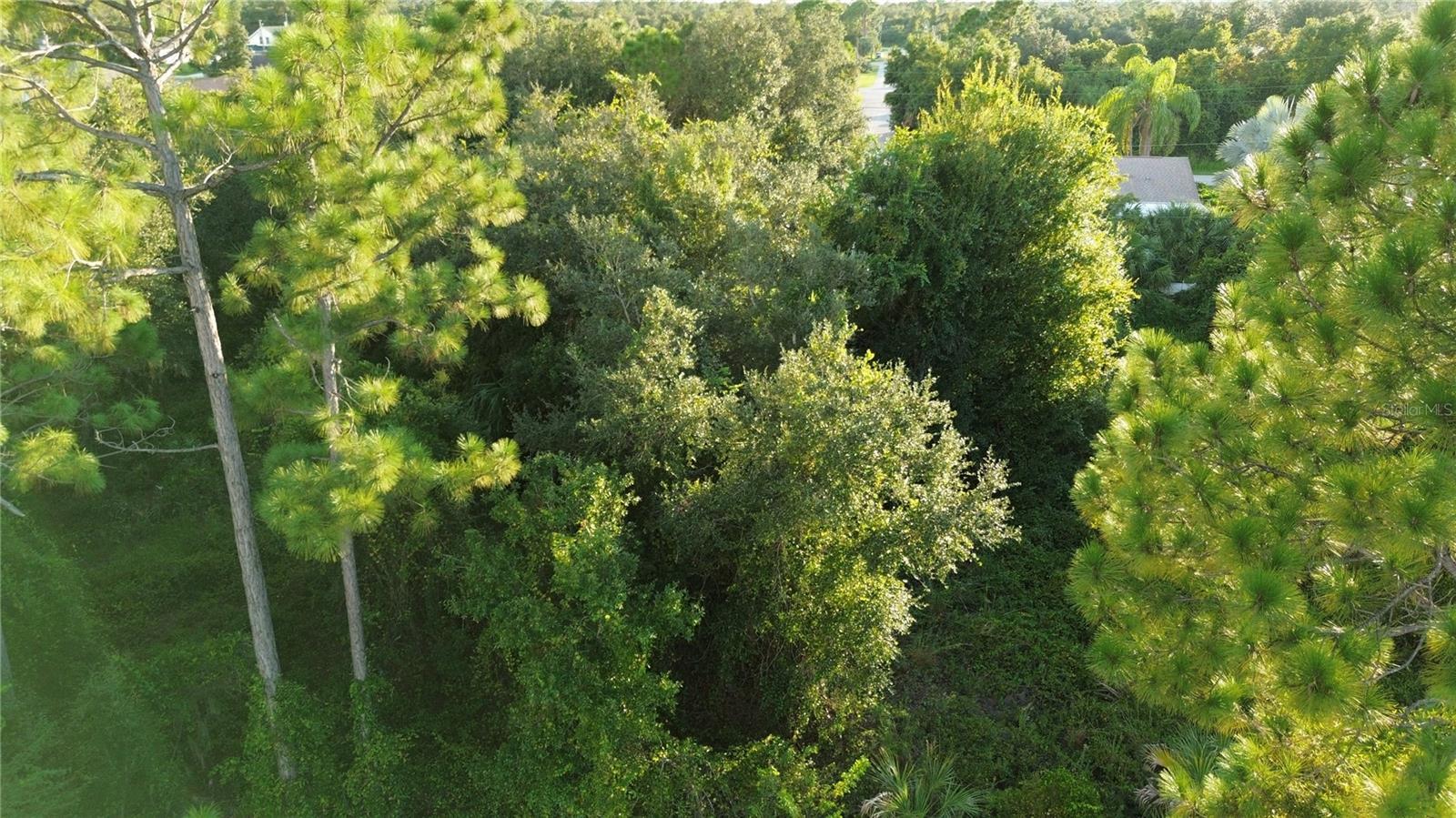 Image 2 Image 2