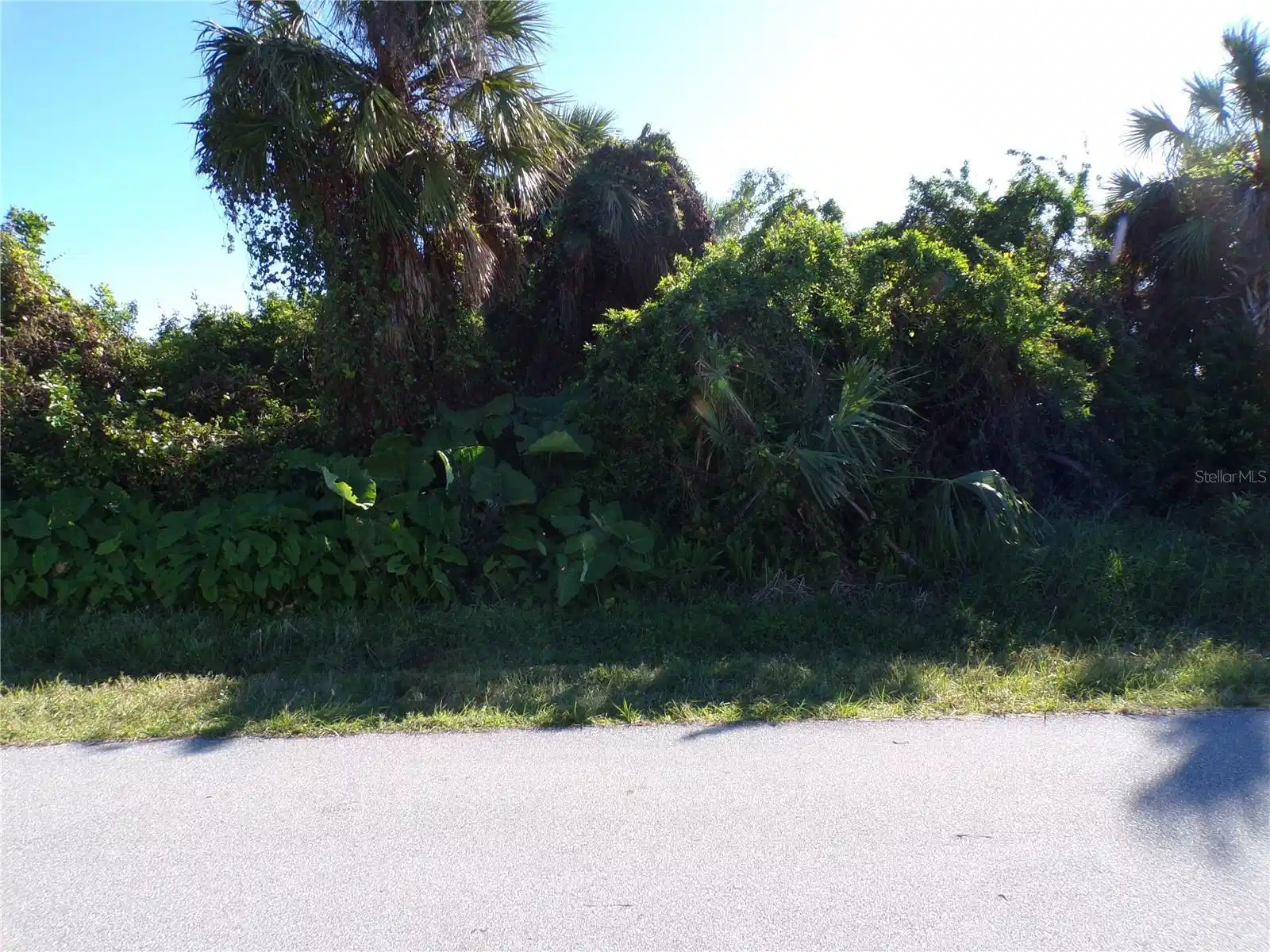 Image 1 Image 1