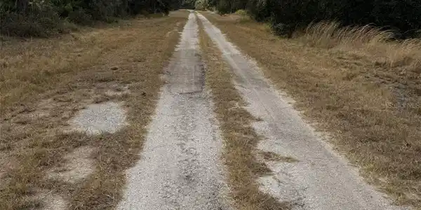 Image 3 Image 3