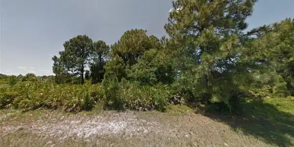 Image 4 Image 4