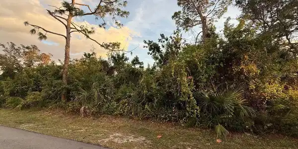 JUPITER ROAD