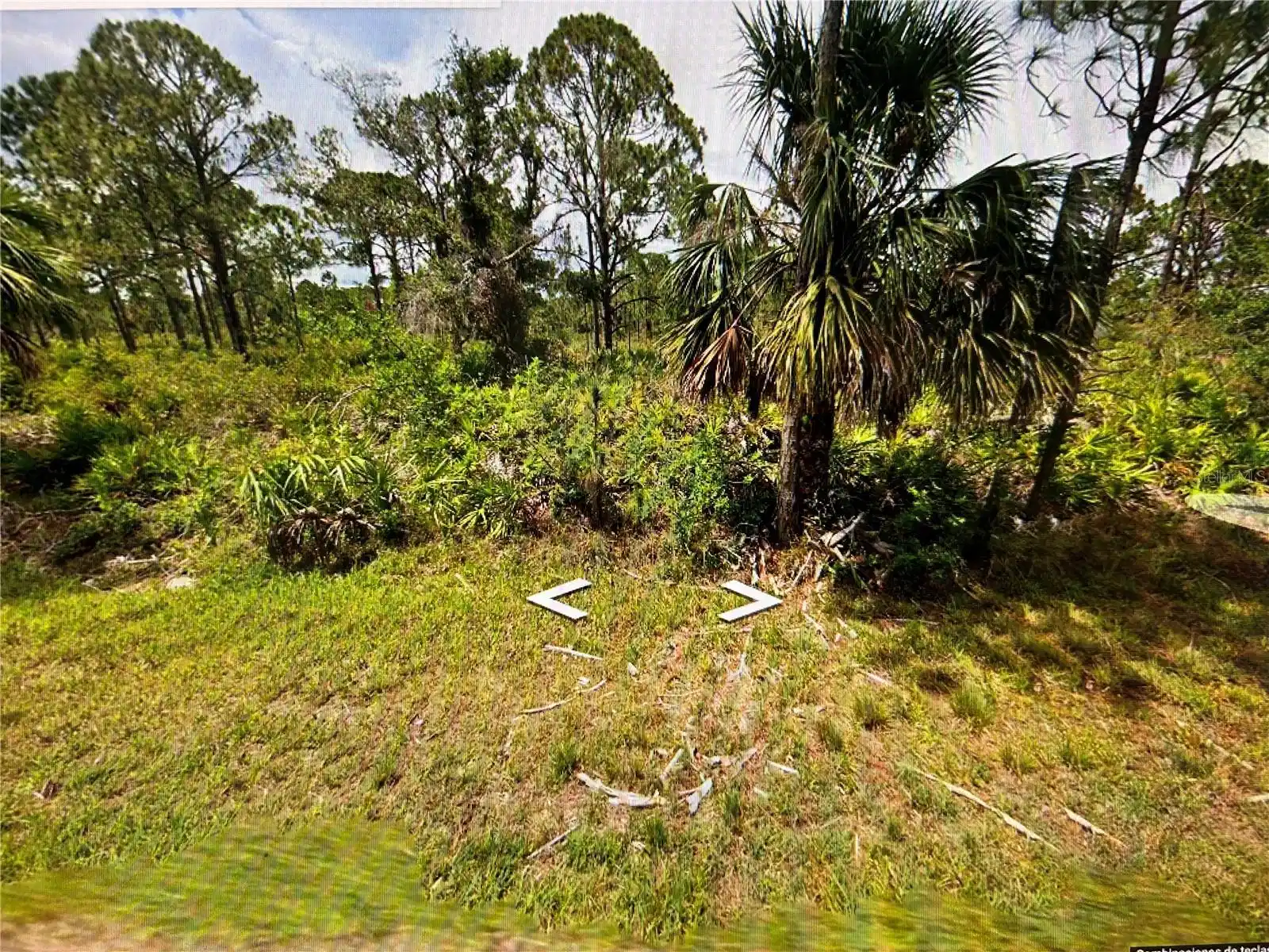 Image 1 Image 1