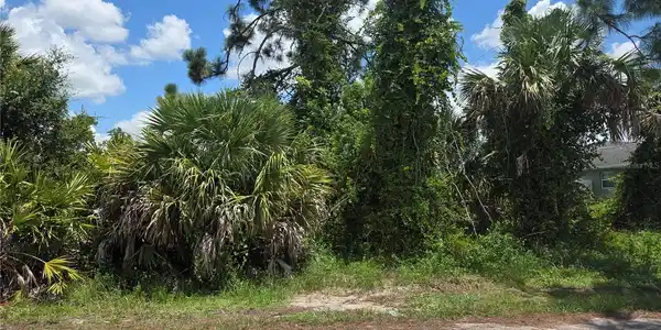 SELOVER ROAD