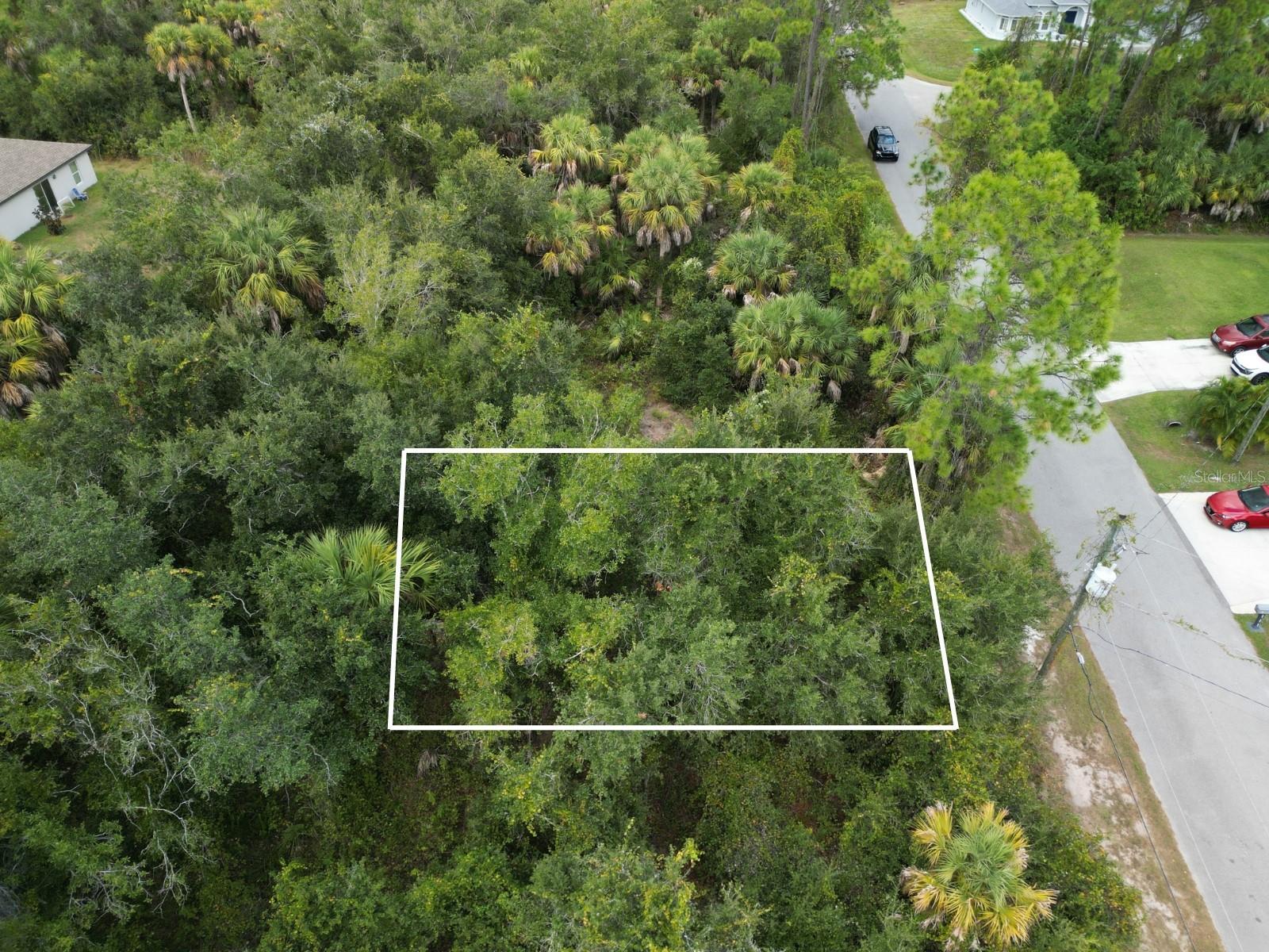 Image 1 Image 1