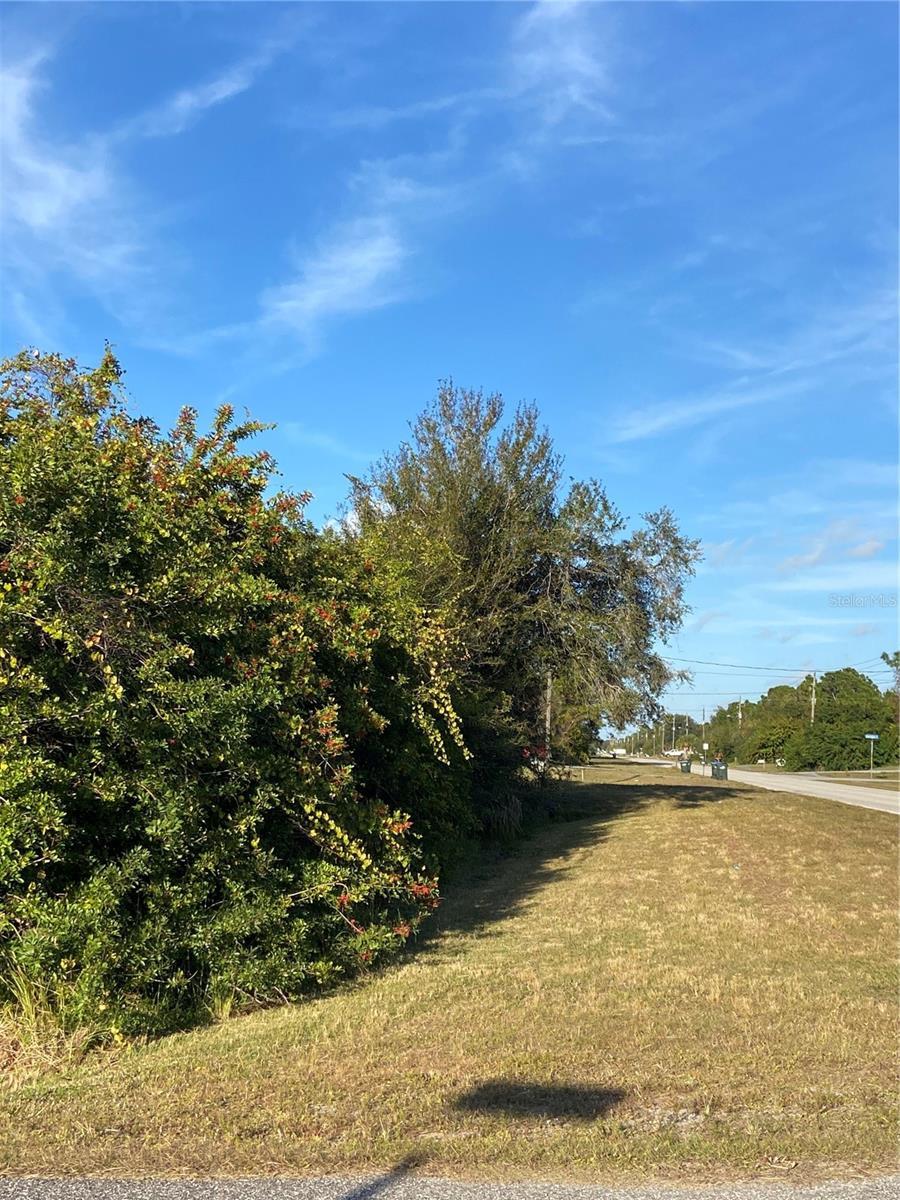 Image 1 Image 1