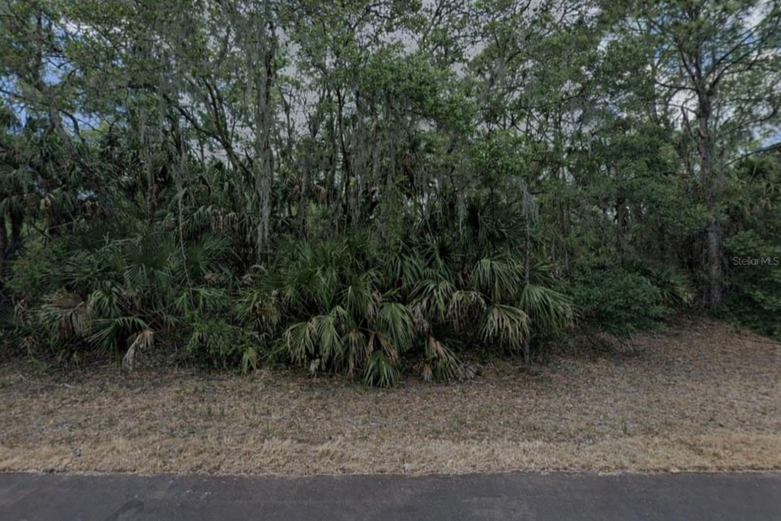 Image 3 Image 3