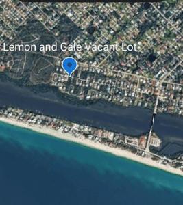 LEMON AVENUE