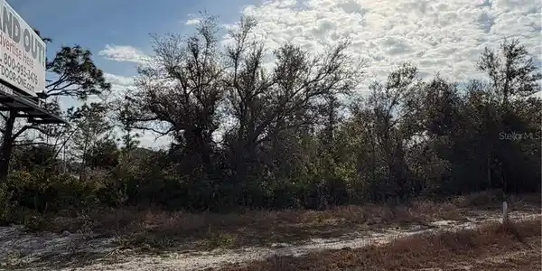 Image 4 Image 4