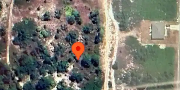 Image 3 Image 3