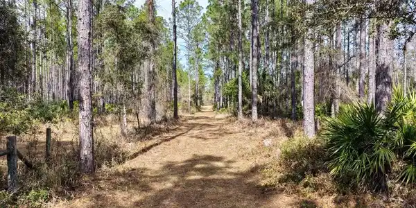 Image 3 Image 3