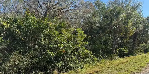 Image 3 Image 3