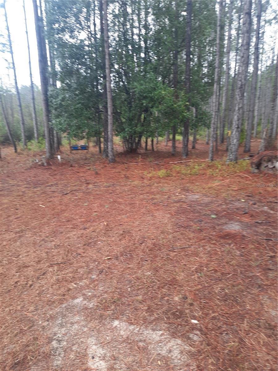 Image 1 Image 1
