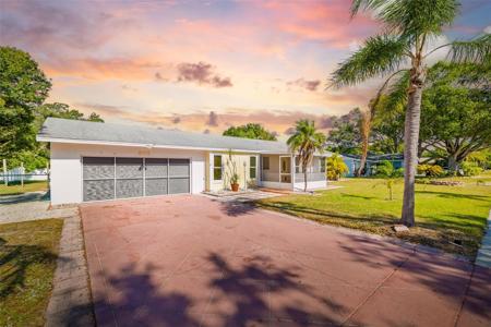 803 PLUM TREE LANE