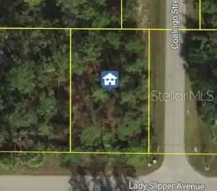 LADY SLIPPER AVENUE