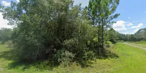 Image 3 Image 3
